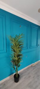 WhatsApp Image 2023 06 01 at 12.56.00